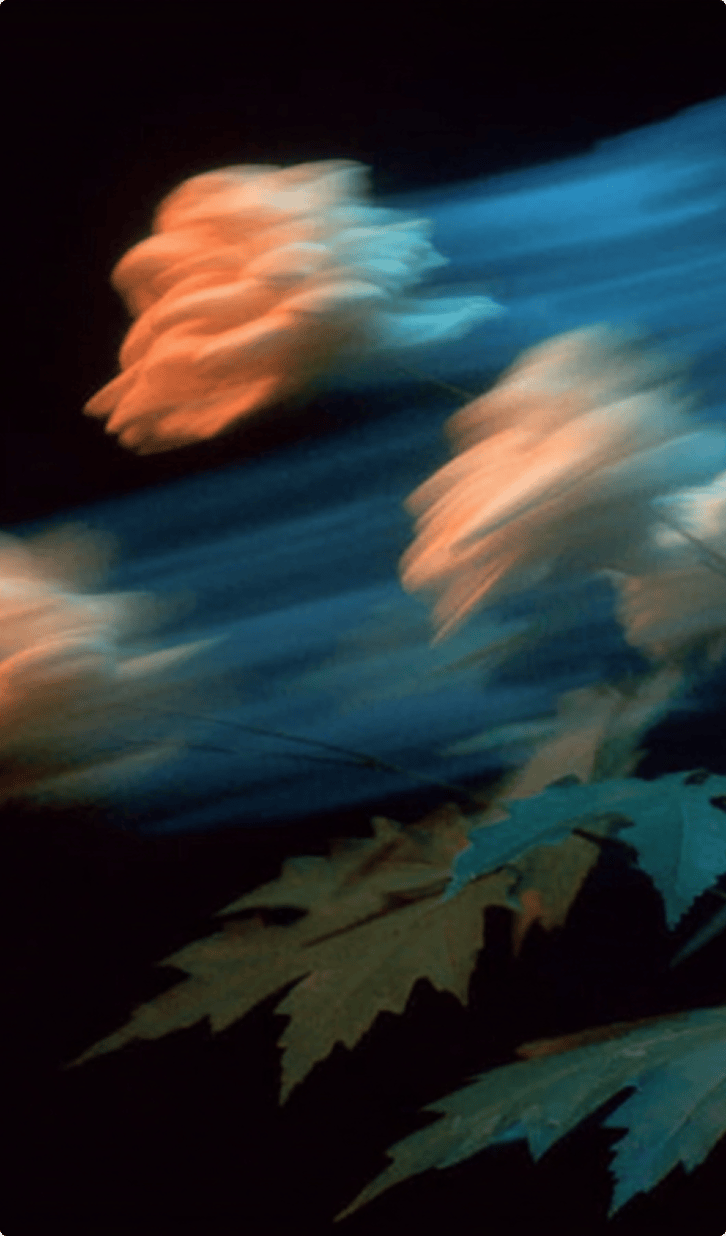 Женщина в розовом костюме — Nano Banana Pro